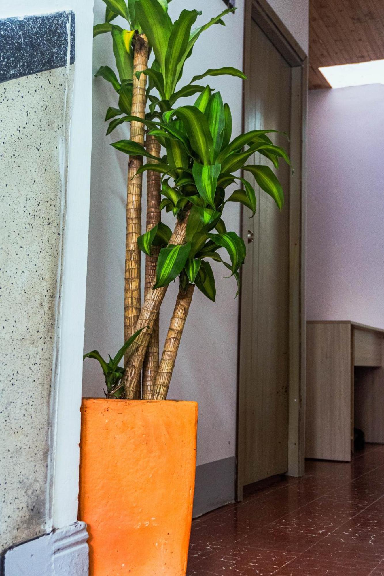 Coliving La Rebeca Pereira Hotel Exterior photo